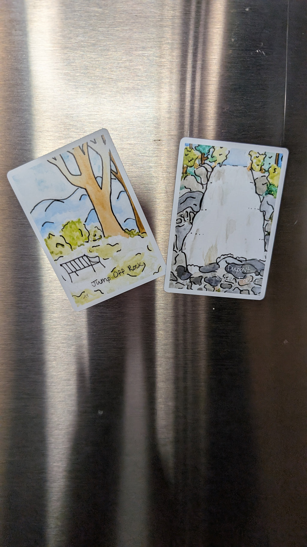 Dupont State Forest Magnet