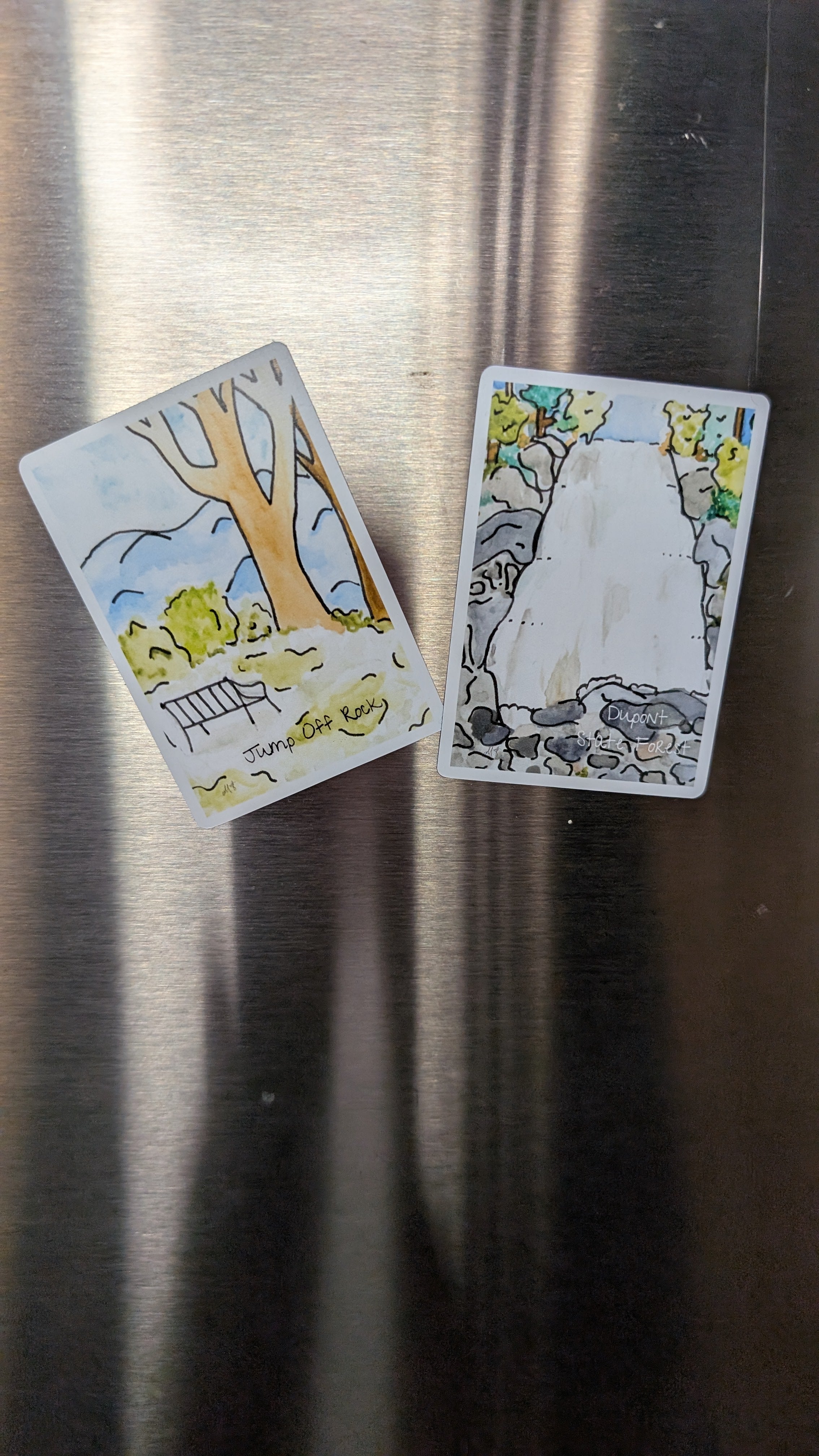 Dupont State Forest Magnet