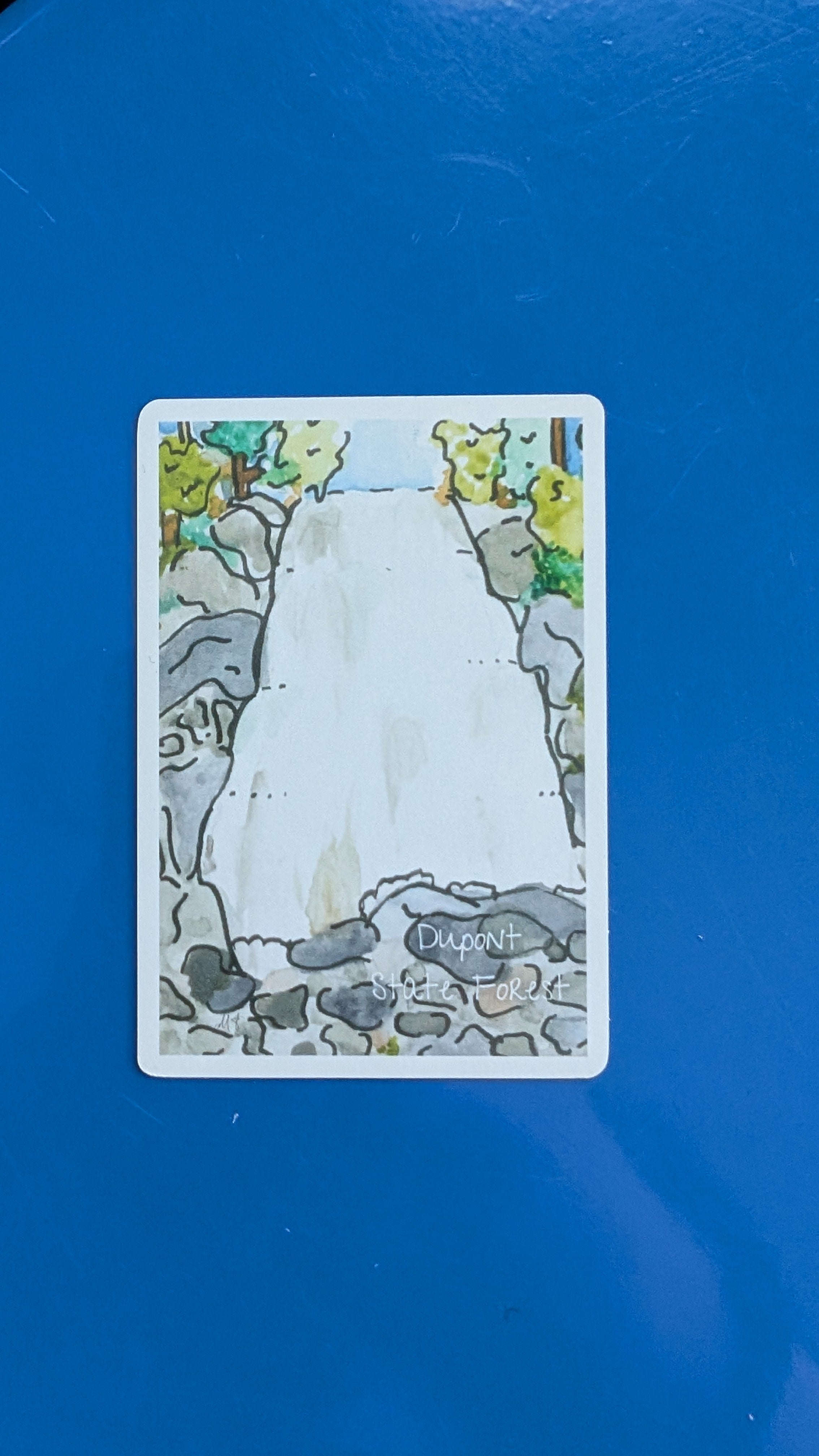 Dupont State Forest Magnet