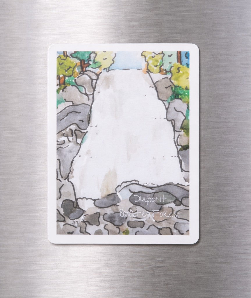 Dupont State Forest Magnet